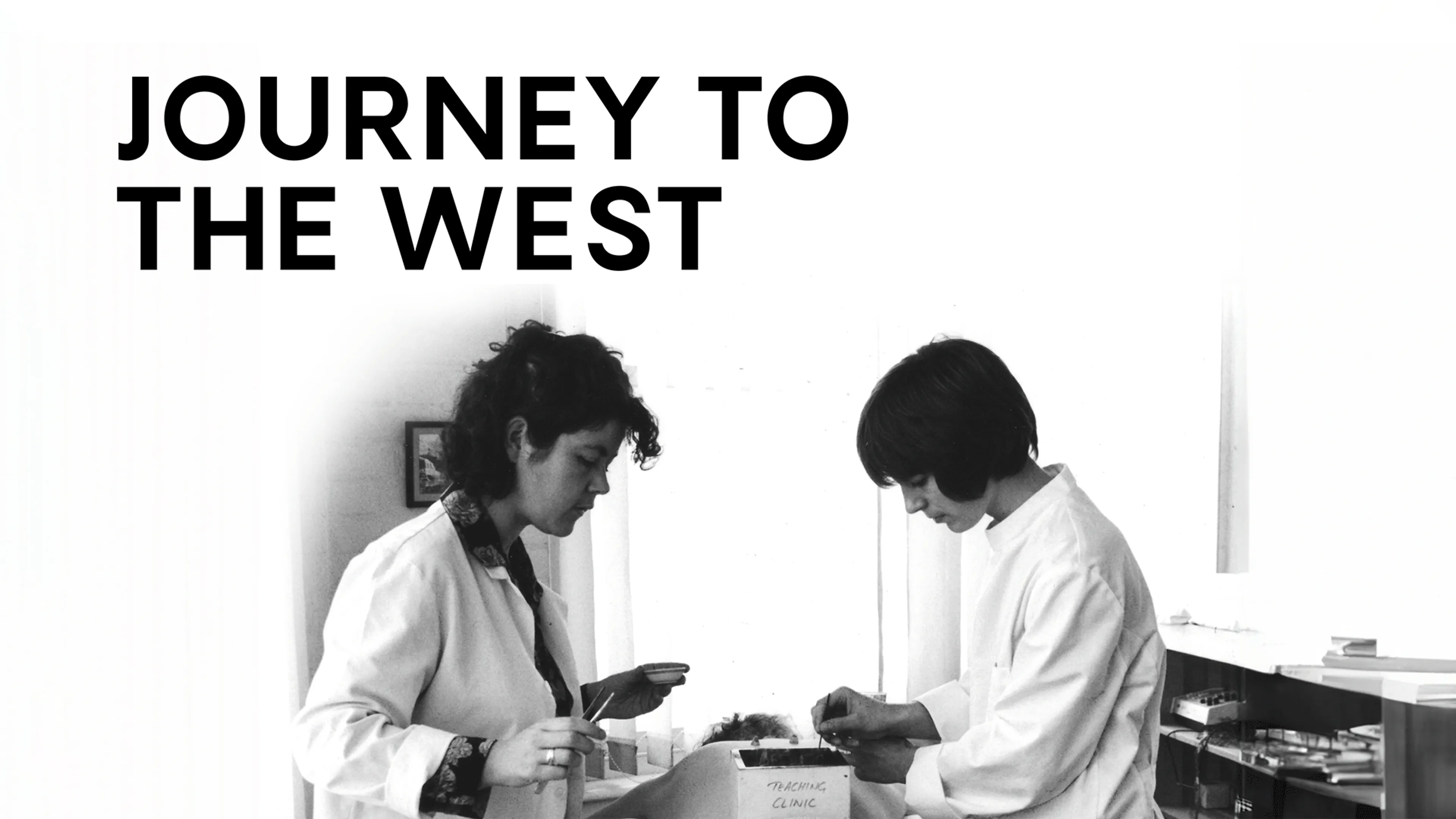 Journey to the West poster